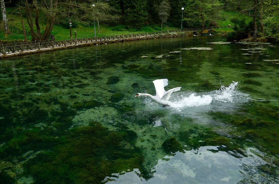 Spring in Bosnia and Herzegovina