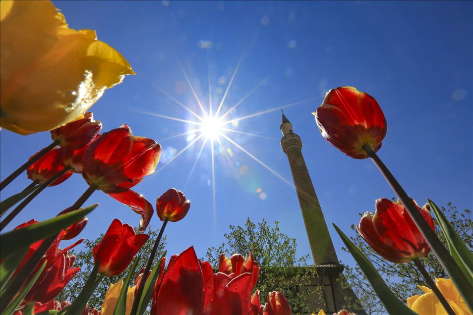 Ankara'da ilkbahar