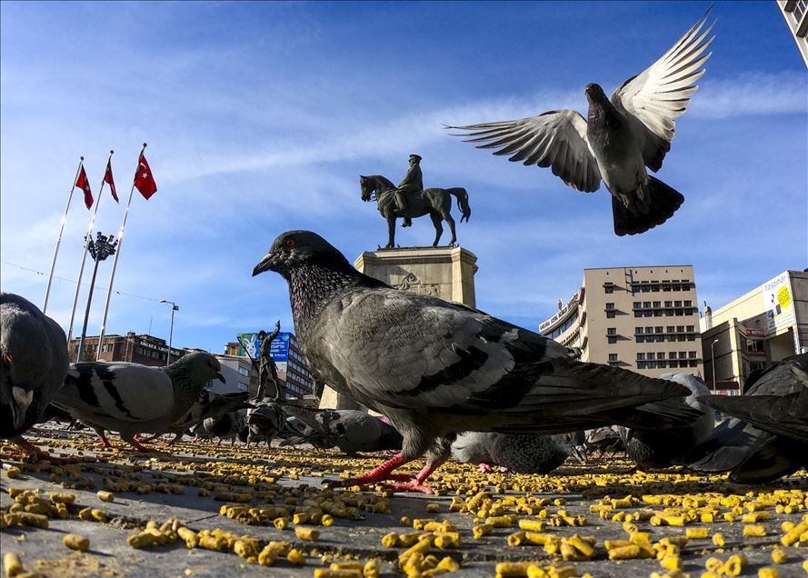 Ankara'da sokağa çıkma kısıtlaması