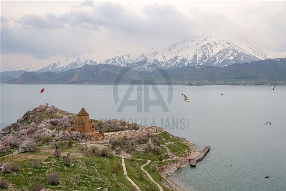 Spring beauties on Akdamar Island remained silence
