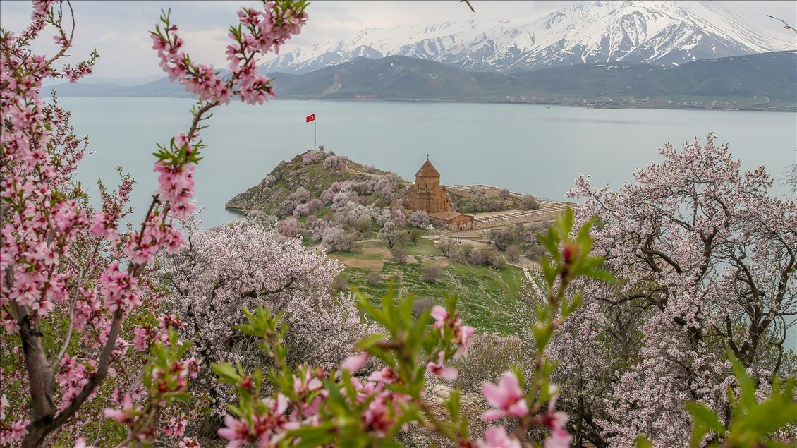 Spring beauties on Akdamar Island remained silence
