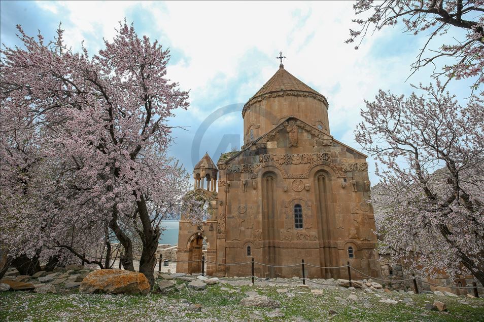 Spring beauties on Akdamar Island remained silence
