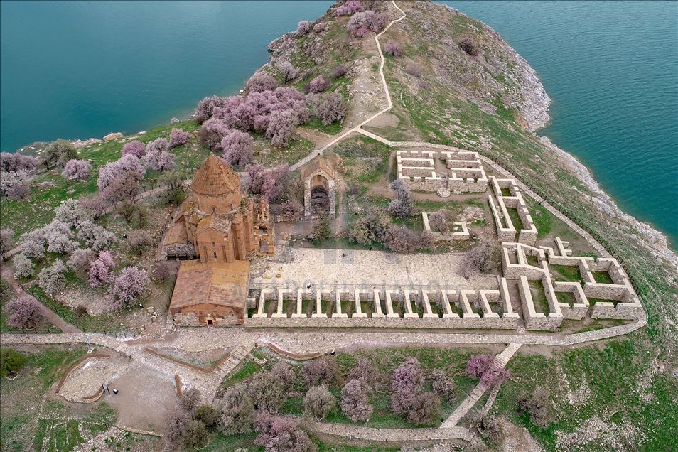 Spring beauties on Akdamar Island remained silence
