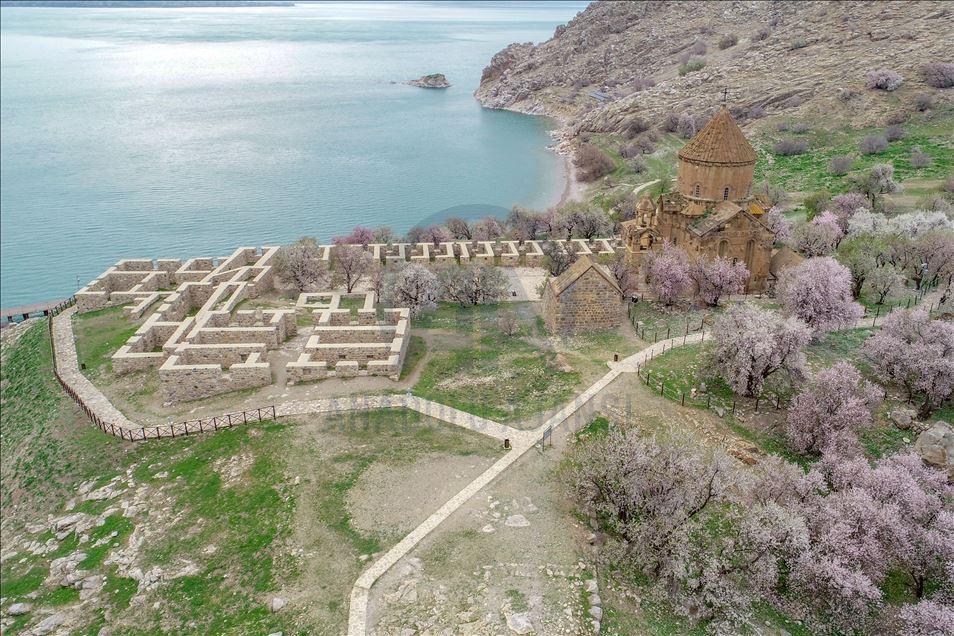 Spring beauties on Akdamar Island remained silence
