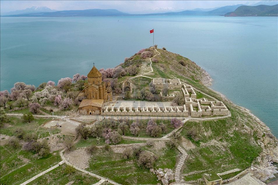 Spring beauties on Akdamar Island remained silence
