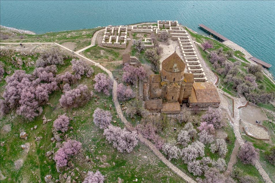 Spring beauties on Akdamar Island remained silence
