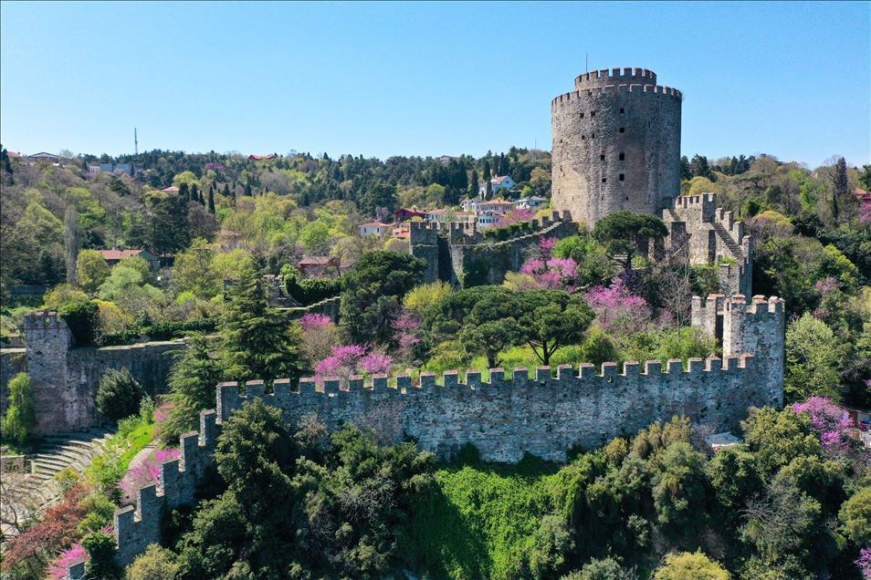 Rumelian Fortress with Judas trees in Istanbul