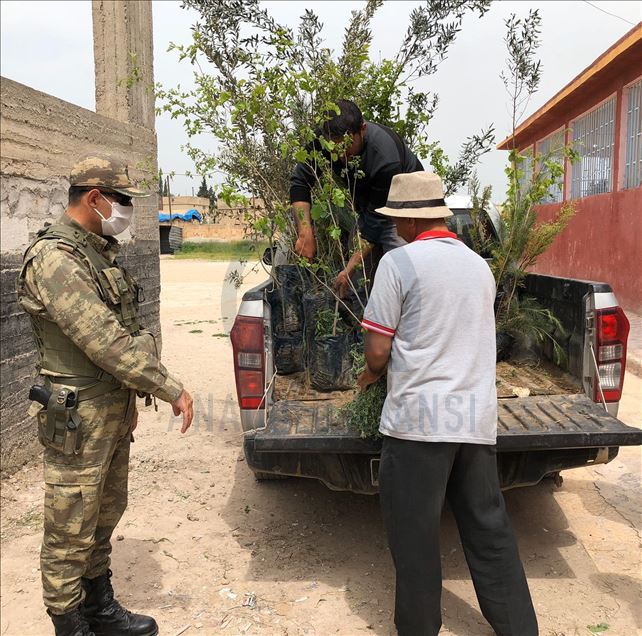 تركيا تواصل تطوير البنية التحتية والفوقية لتل أبيض السورية