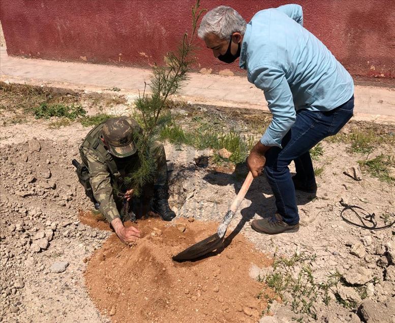 تركيا تواصل تطوير البنية التحتية والفوقية لتل أبيض السورية