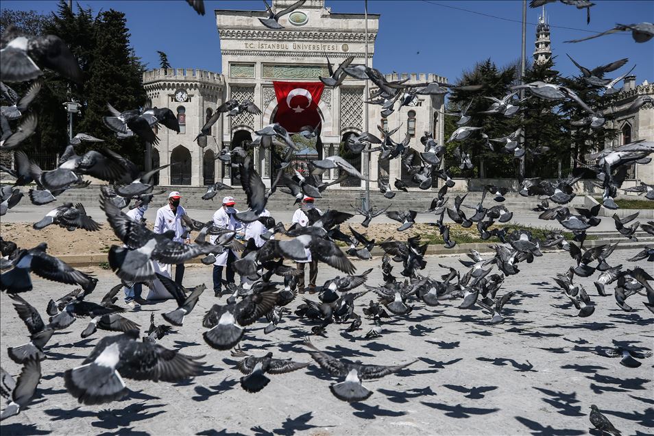 Hayvanseverler, İstanbul'un tarihi meydanlarında güvercinleri besledi