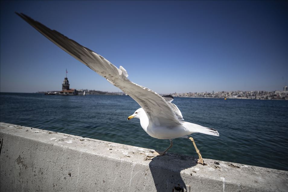 İstanbul'da sokağa çıkma kısıtlaması