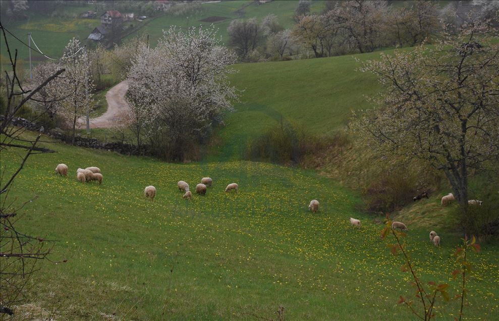 ISPRAVKA (Prethodni sadržaj objavljen je uz pogrešan naslov): Prvi maj u sjeni koronavirusa: Prazna sarajevska izletišta i centralne šetnice