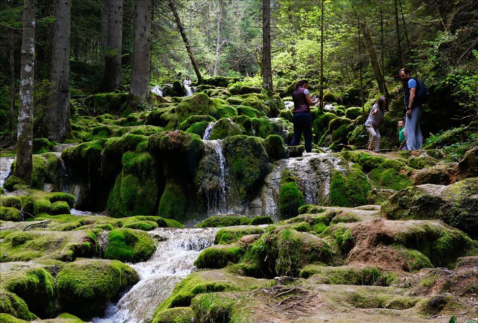 Proljeće na izvoru Miljacke, među slapovima i vodopadima
