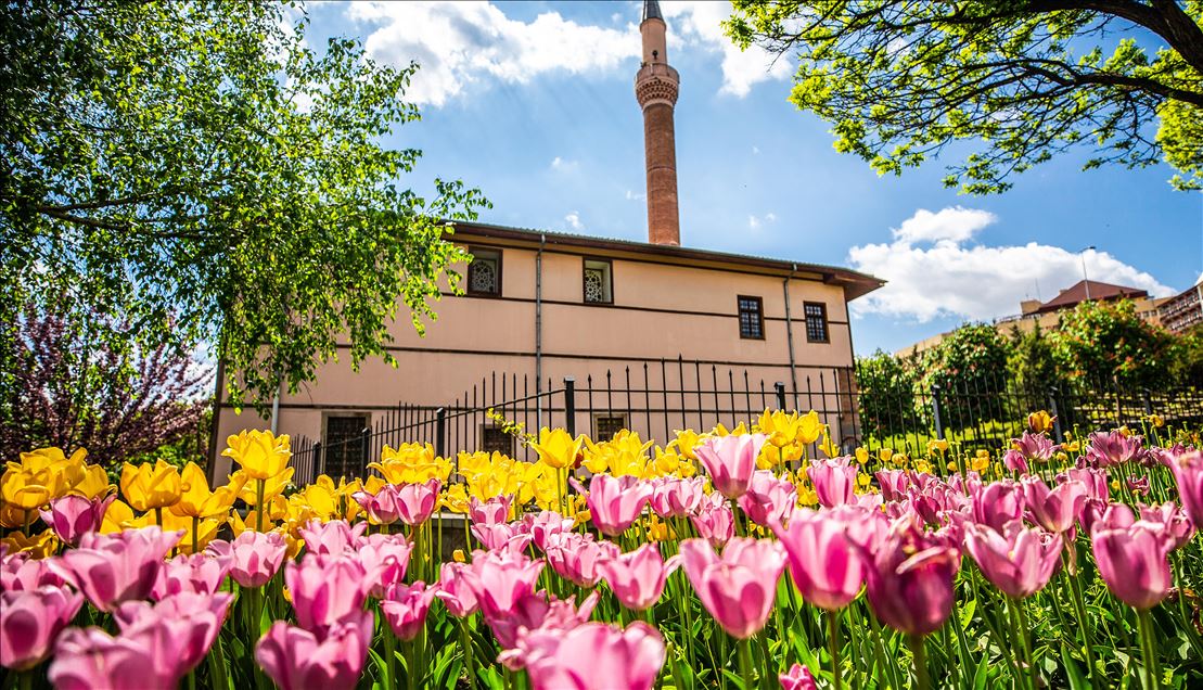 Spring in Turkish Capital