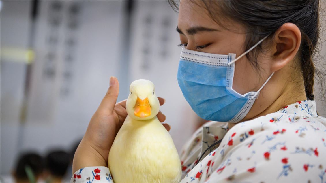 Duck experience store in China's Guangzhou