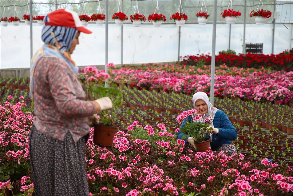 Çiçekçiler "Anneler Günü'nde" sokağa çıkma kısıtlamasından muafiyet istiyor