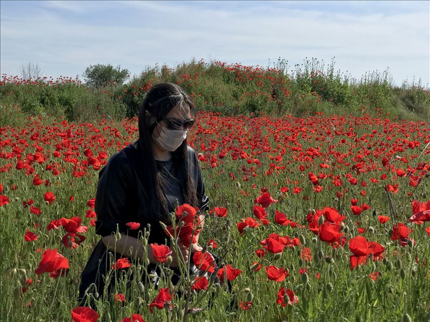 Baharın müjdecisi gelincikler fotoğraf tutkunlarının uğrak yeri oldu