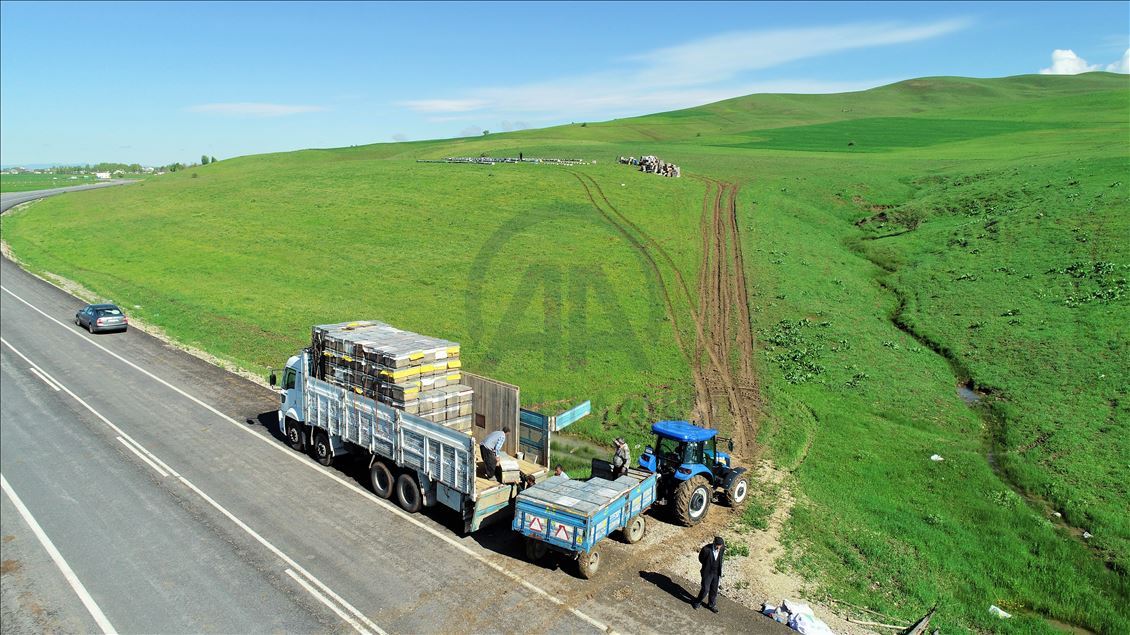 Gezgin arıcılar için Muş vazgeçilmez durak