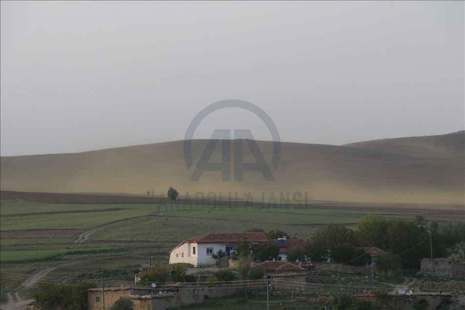 Yozgat'ta bir köy sinek istilasına uğradı