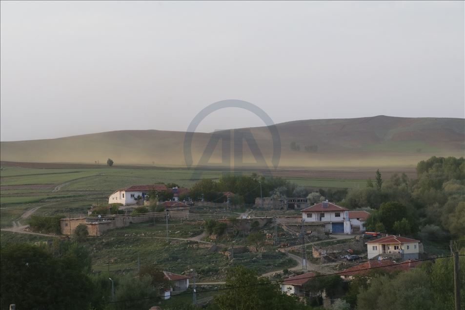 Yozgat'ta bir köy sinek istilasına uğradı