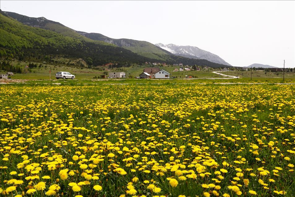 Proljeće u Parku prirode Blidinje: Cvijeće, snijeg i mali broj posjetitelja 