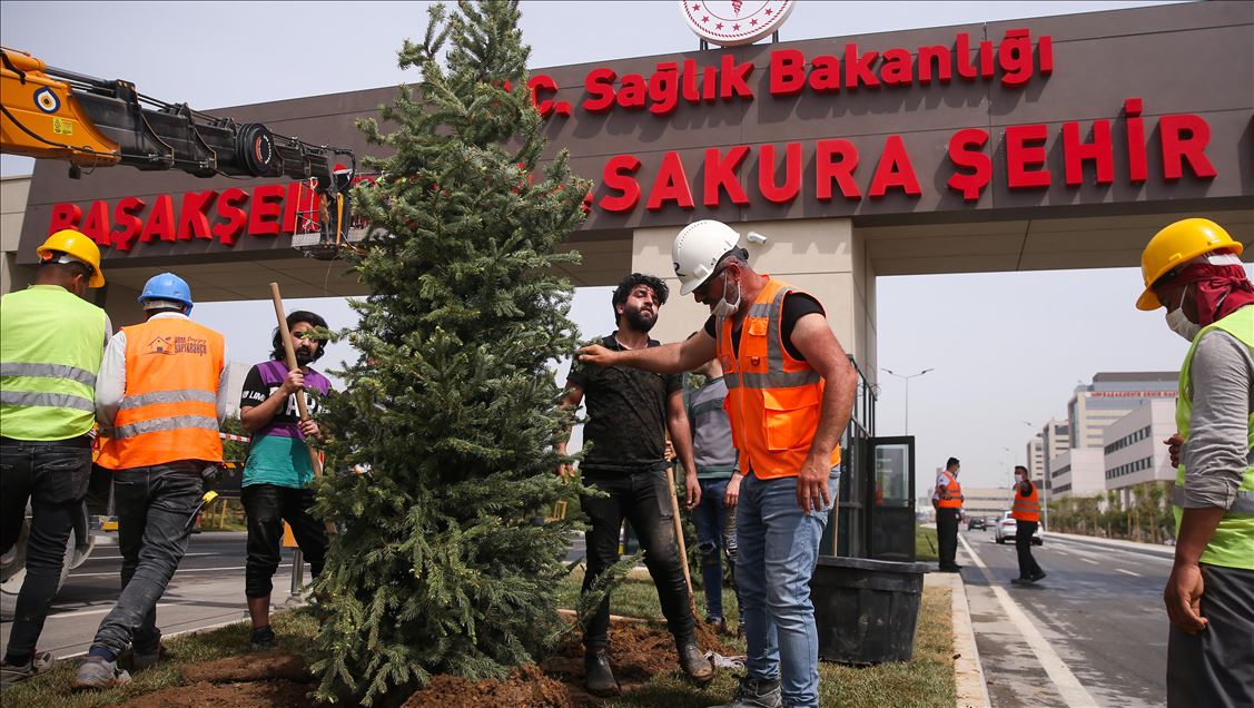 Başakşehir Çam ve Sakura Şehir Hastanesi yarın açılıyor