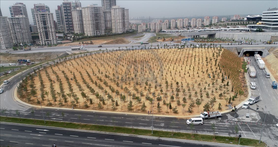Başakşehir Çam ve Sakura Şehir Hastanesi yarın açılıyor