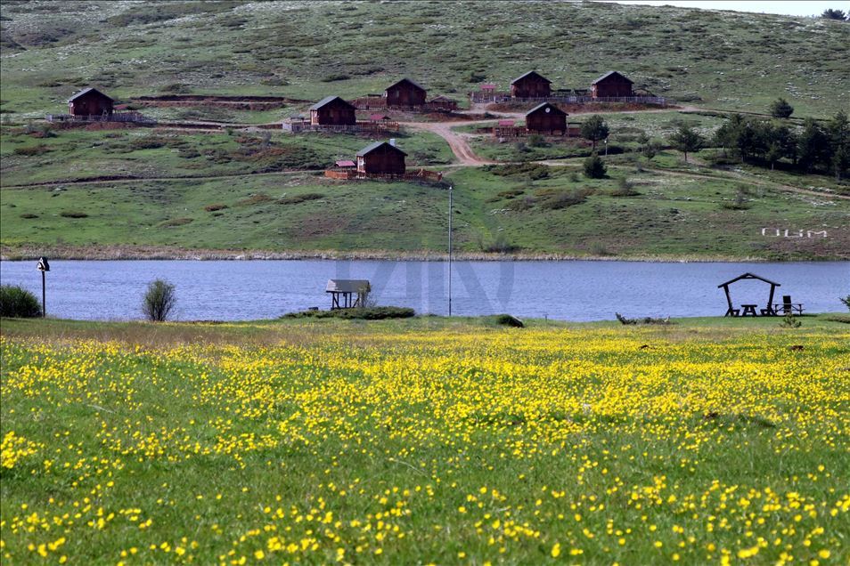 Hazım Dağlı Tabiat Parkı'ndaki ilkbahar güzelliği "sessiz" geçiyor
