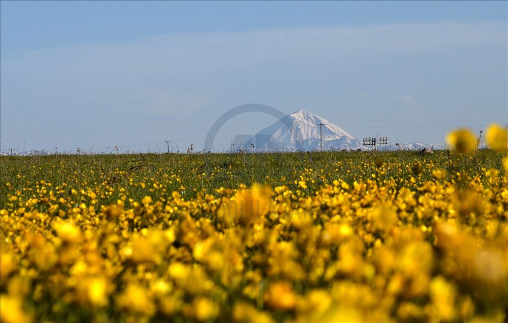 زیبایی های بینظیر ساریقمیش ترکیه