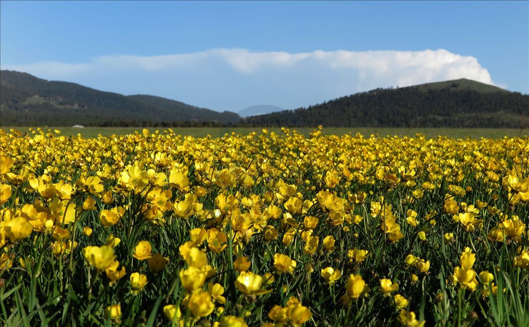 زیبایی های بینظیر ساریقمیش ترکیه