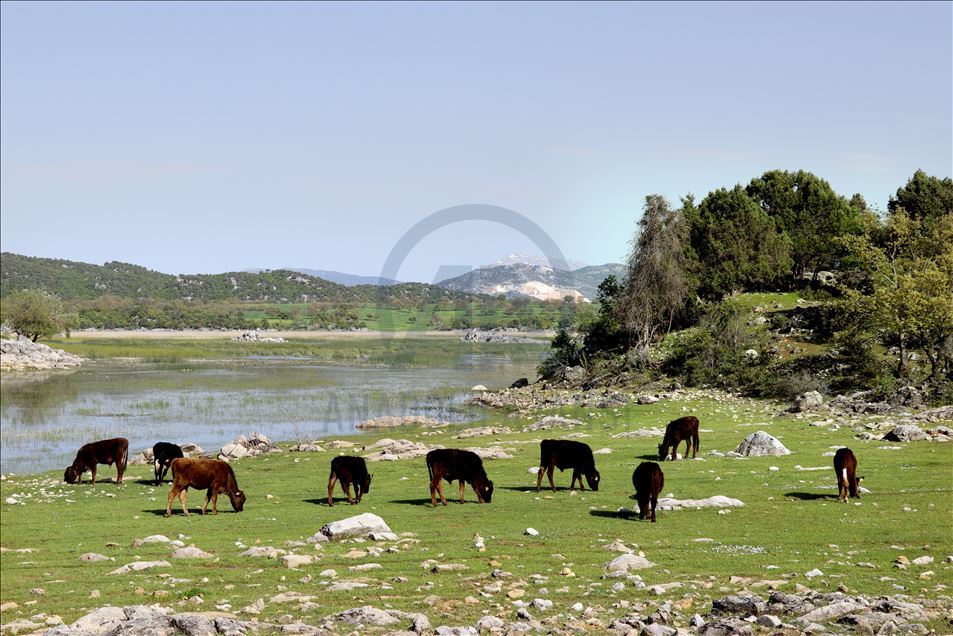 تركيا.. بحيرة "بيشهير" لوحة طبيعية تأسر الألباب