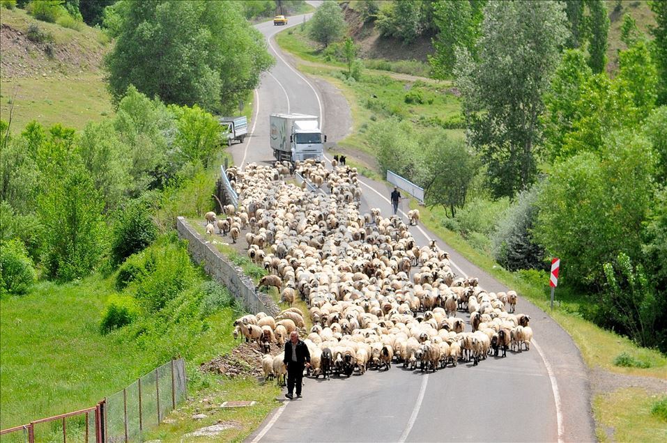 Rêwîtiya koçeran a dijwar dewam dike
