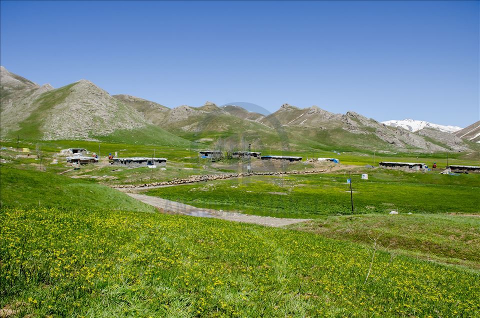Faraşin Yaylası, karlı dağları ve yeşil örtüsüyle büyülüyor