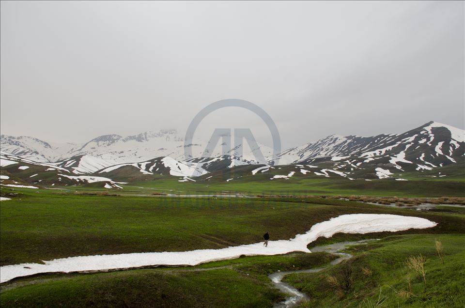 Faraşin Yaylası, karlı dağları ve yeşil örtüsüyle büyülüyor