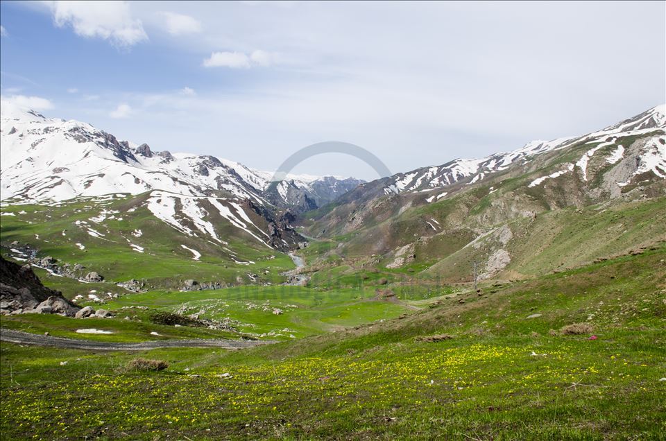 Faraşin Yaylası, karlı dağları ve yeşil örtüsüyle büyülüyor