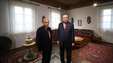 Cumhurbaşkanı Erdoğan ve MHP Genel Başkanı Bahçeli Demokrasi ve Özgürlükler Adası'nı gezdi