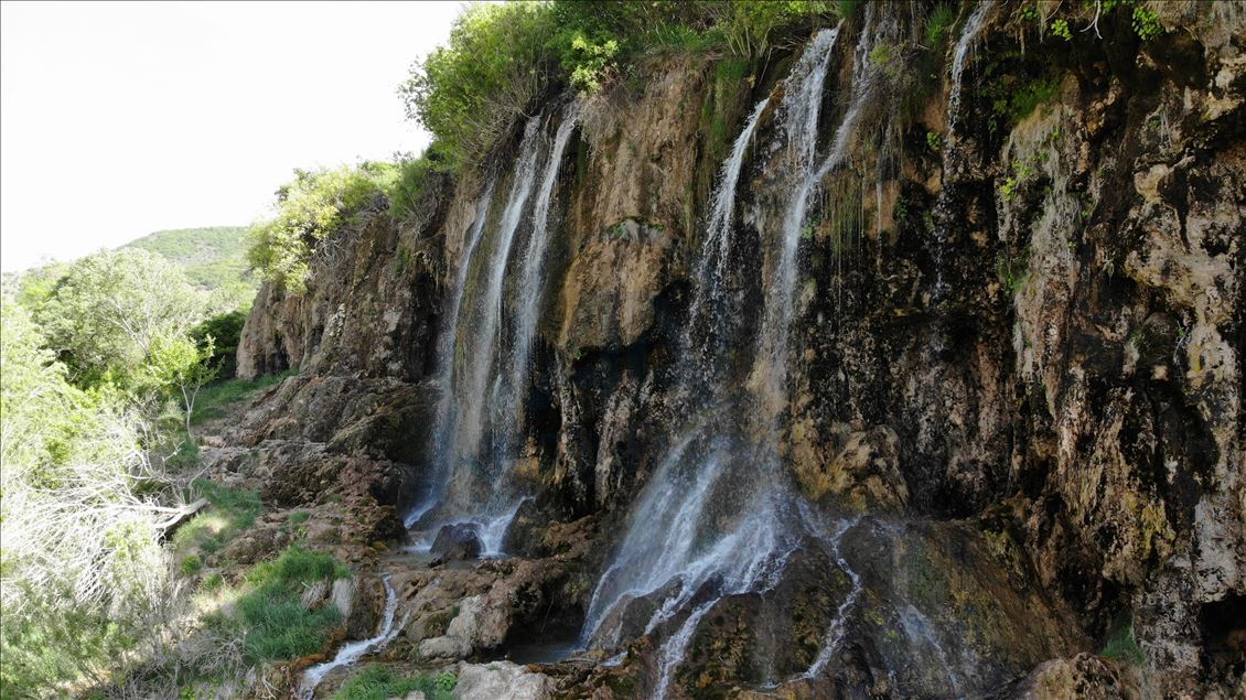 Sûlava Girlevîkê ji ber şewba Kovîd-19yê bêdeng e