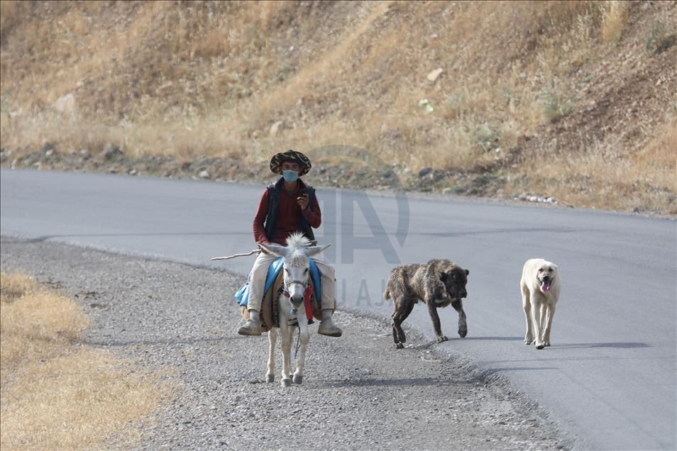 کۆچەرەکان روو لە کوێستانەکان دەکەن