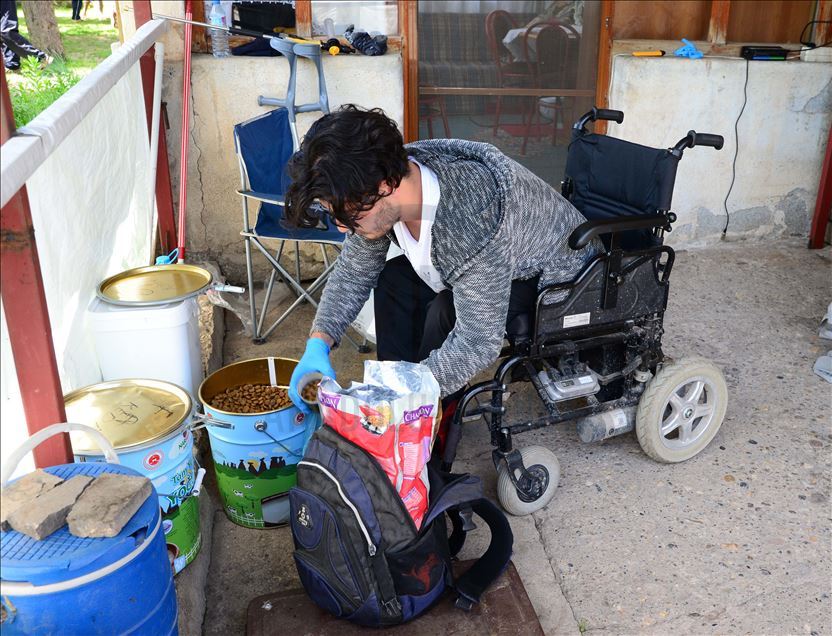 Engelli genç akülü aracıyla her gün sokakları dolaşarak "can dostlarını" besliyor