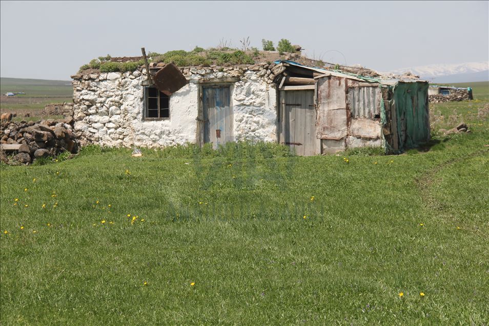 Besiciler çiçeklerle süslenen yaylalarına kavuşuyor