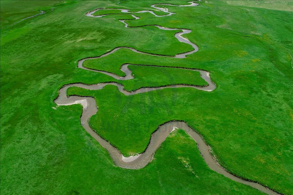 زیبایی دلنواز مناظر رودپیچ‌ها در استان وان