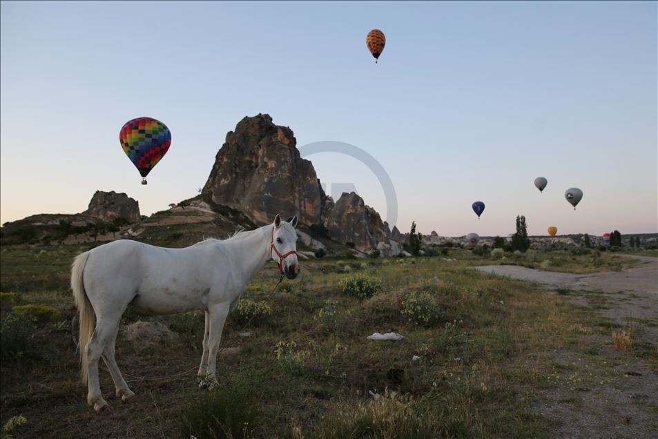 Kapadokya semaları sıcak hava balonlarıyla renklendi
