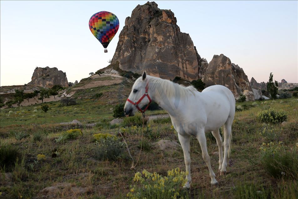 Kapadokya semaları sıcak hava balonlarıyla renklendi
