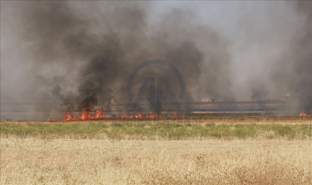 Suriye'de Esed rejimi, halkın ekinlerini yakıyor 
