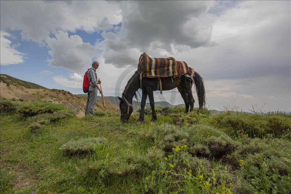 Elazığ ve Bingöl'ün "kalbi": Gerendal Gölü