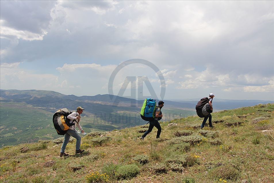 Bingöl'ün Şerafettin Dağlarında yamaç paraşütü keyfi
