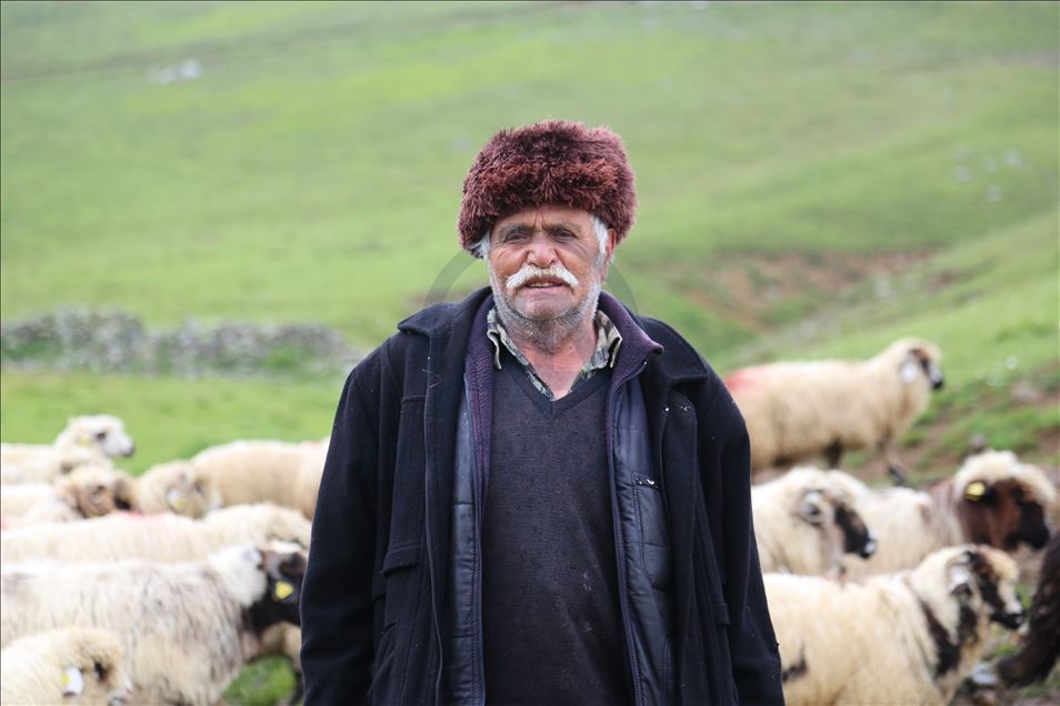 85 yaşındaki Süleyman dedenin bitmeyen çobanlık tutkusu