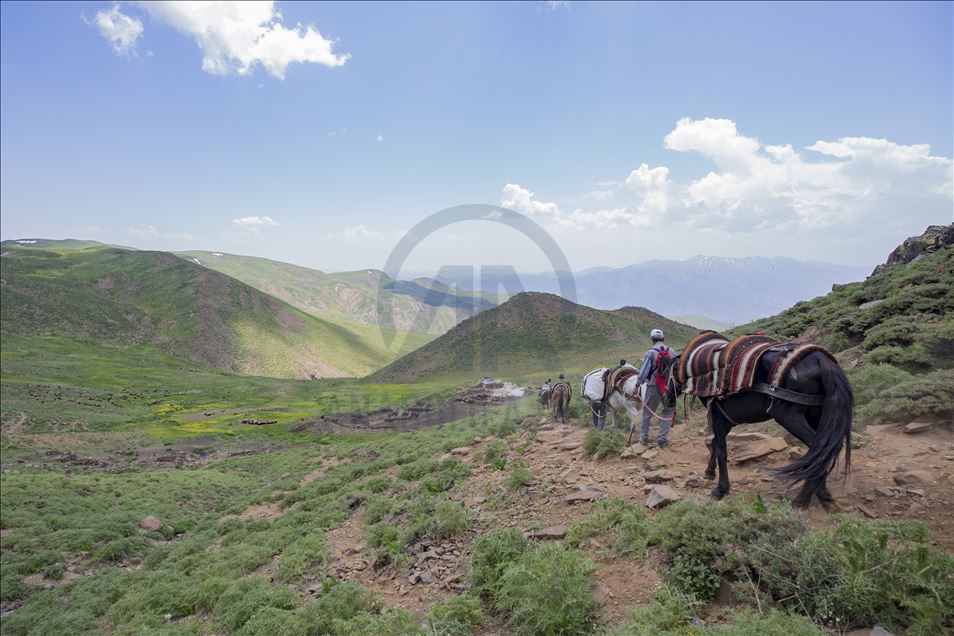 Elazığ ve Bingöl'ün "kalbi": Gerendal Gölü