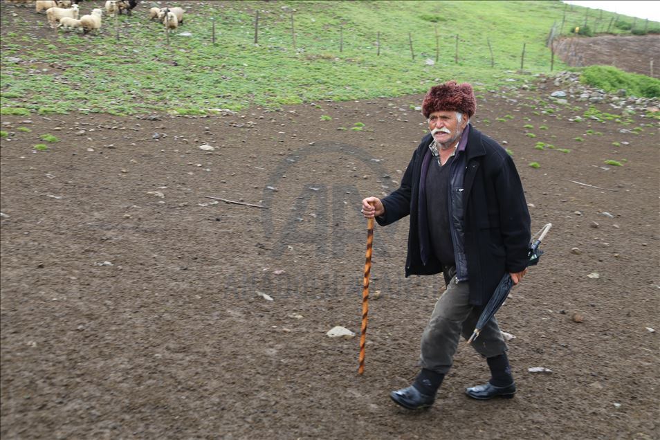 85 yaşındaki Süleyman dedenin bitmeyen çobanlık tutkusu