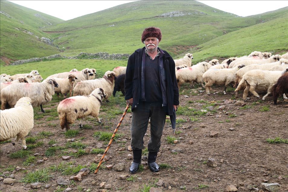 85 yaşındaki Süleyman dedenin bitmeyen çobanlık tutkusu